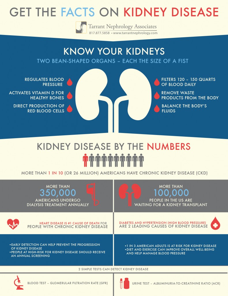 Kidney Disease Facts Infographic